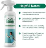 CHOMP! Painted Wall Cleaner Spray - Image 2