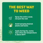 Spruce Weed Killer Refill for Spray Weed & Grass Killer - Image 3